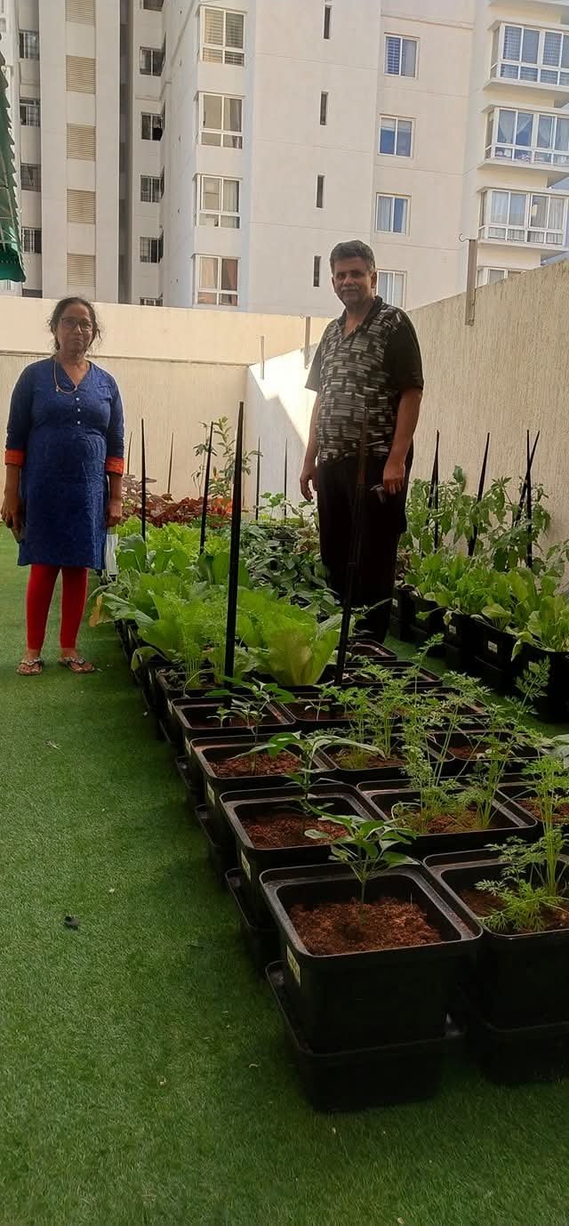 Urban Garden